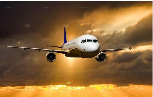 U.S. Transportation Secretary Asks Airlines To Serve Stranded And Delayed Passengers